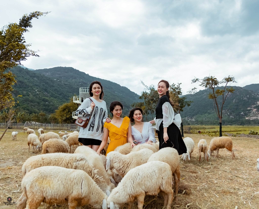 Tour Nha Trang – Hái Nho Ninh Thuận 3 ngày 2 đêm