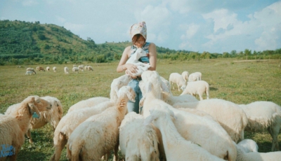 912B1338-DB4B-431E-BE6F-E11920D03868