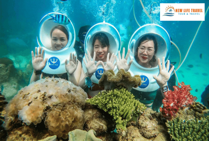 Tour-3-dao-Nha-Trang-Mini-beach-8