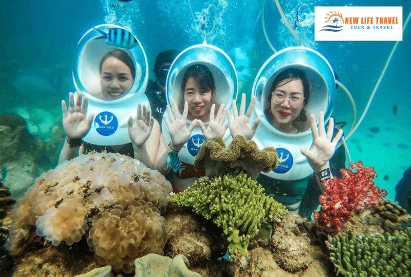 Tour-3-dao-Nha-Trang-Mini-beach-8