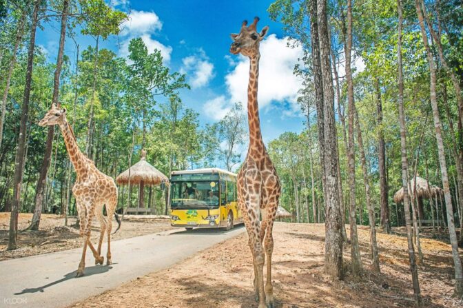 vinpearlsafari