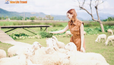 ong-Cuu-Suoi-Tien-New-Life-Travel6