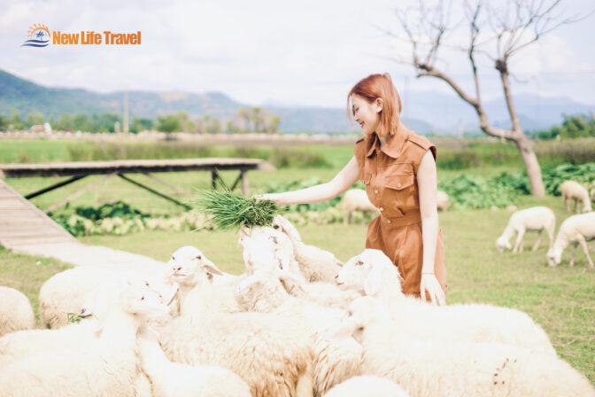 ong-Cuu-Suoi-Tien-New-Life-Travel6
