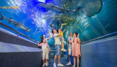 Viện hải dương học Nha Trang