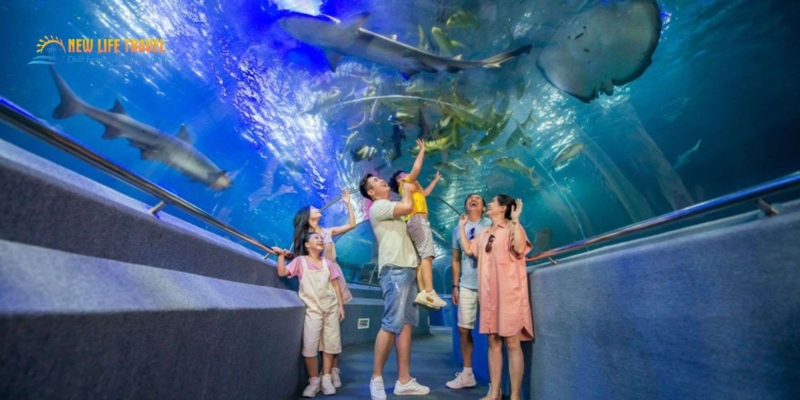 Viện hải dương học Nha Trang
