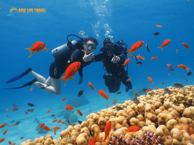 Bai-Tranh-Nha-Trang-6