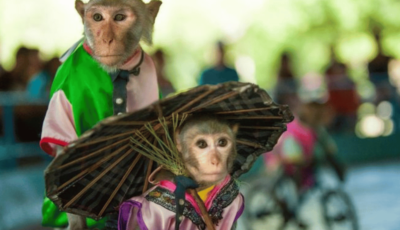 Đảo khỉ Nha Trang