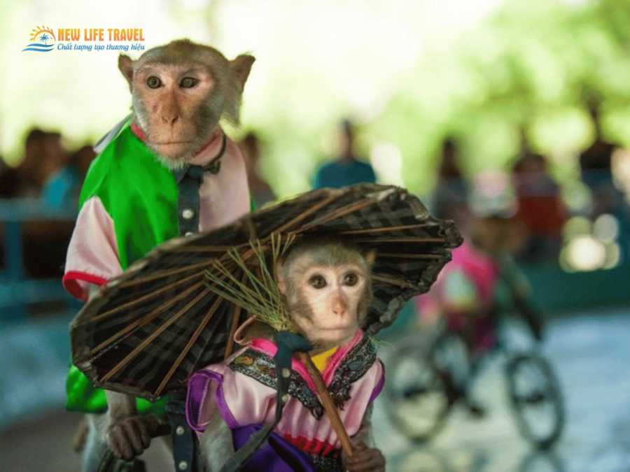 Đảo khỉ Nha Trang