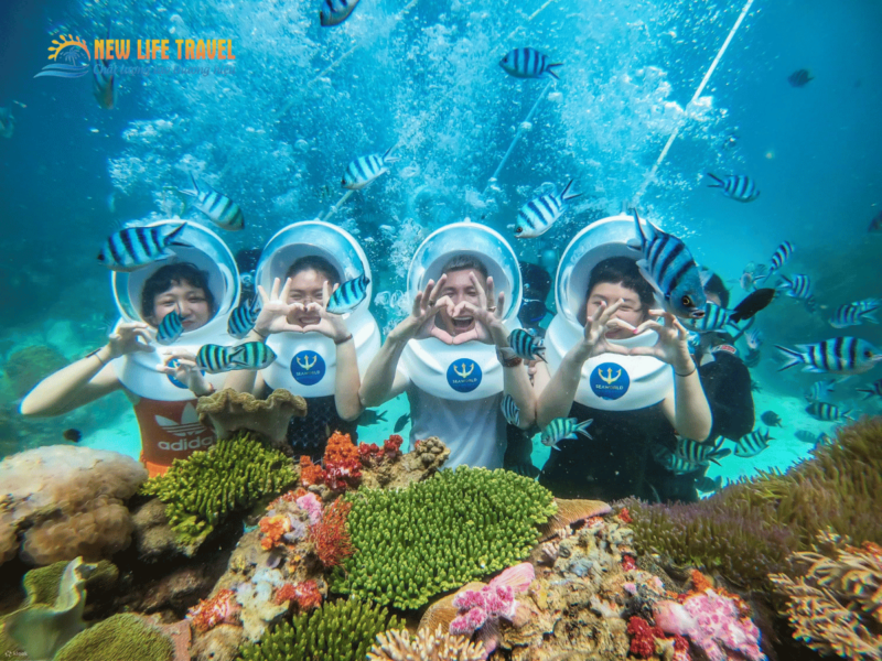 Nen-Chon-Tour-Dao-Nha-Trang-nao-de-trai-nghiem-19