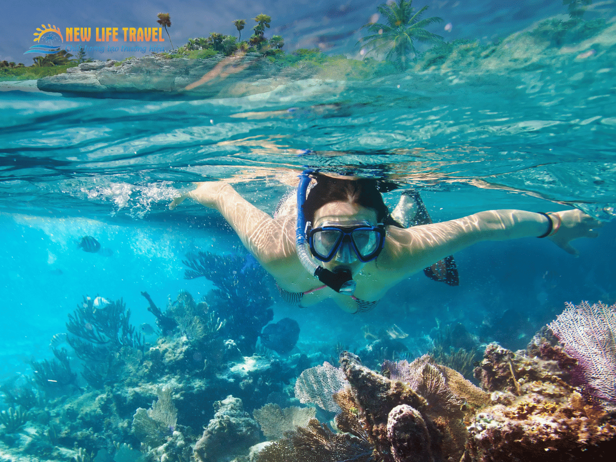 Du khách trải nghiệm dịch vụ lặn Snorkeling tại Hòn Mun Nha Trang