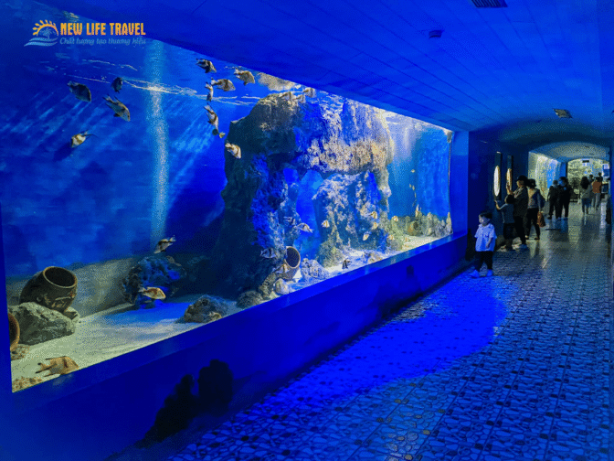 Vien-hai-duong-hoc-Nha-Trang-2