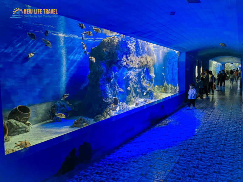 Vien-hai-duong-hoc-Nha-Trang-2