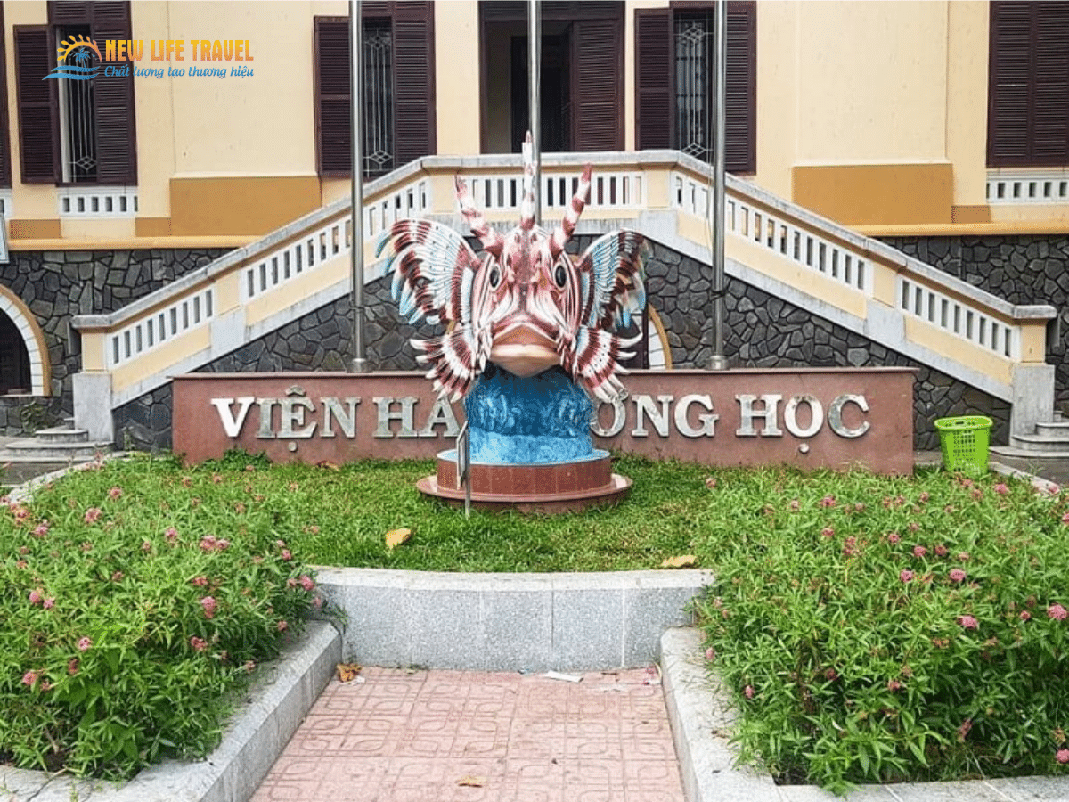 Viện Hải Dương Học - Địa điểm tham quan nhất định phải ghé khi đến Nha Trang