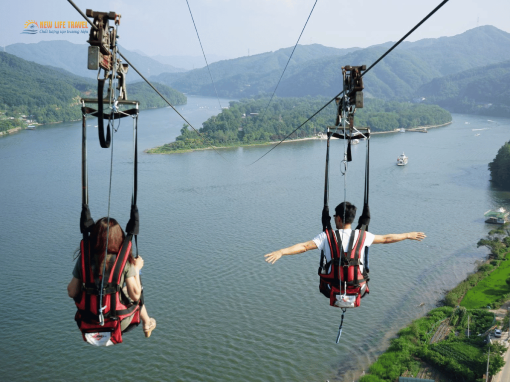 Zipline qua đảo Nami Hàn Quốc