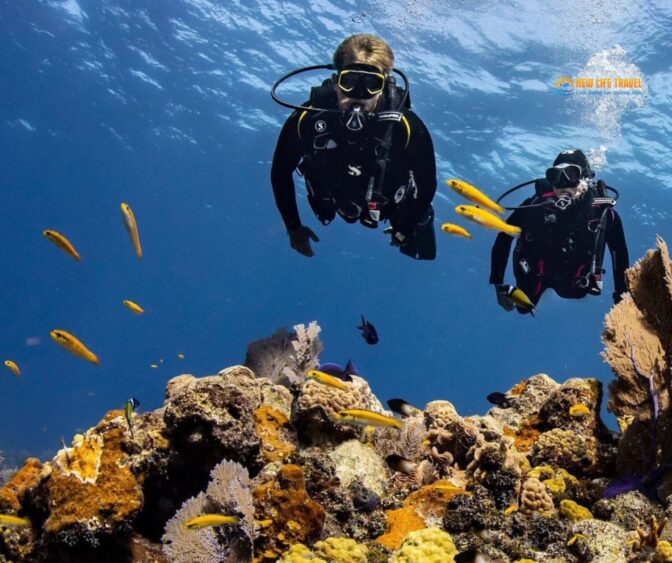 Tour Lặn biển Nha Trang - Scuba Diving