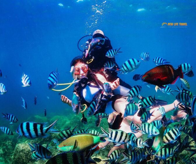 Lặn biển Nha Trang