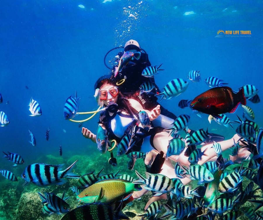 Lặn biển Nha Trang