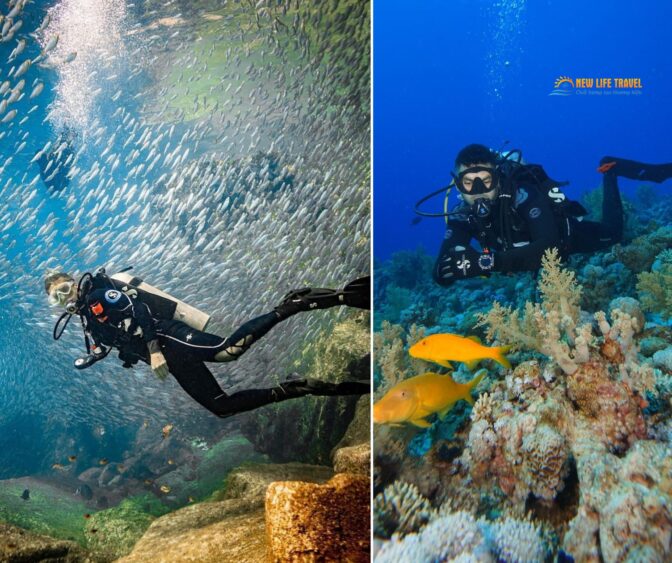 Lặn biển Nha Trang