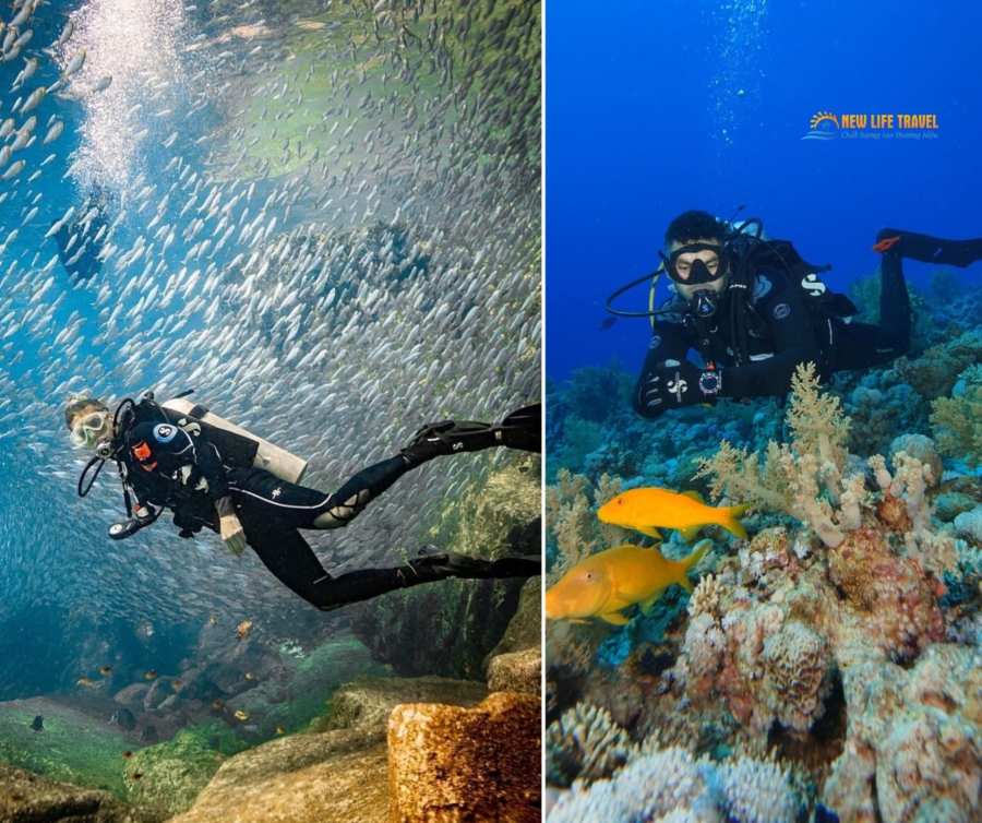 Lặn biển Nha Trang