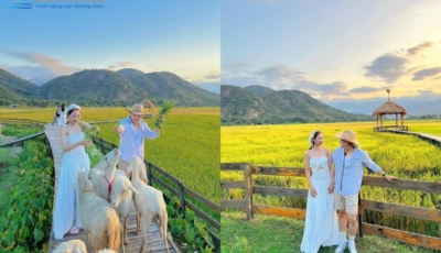 Du lịch Đồng Cừu Suối Tiên