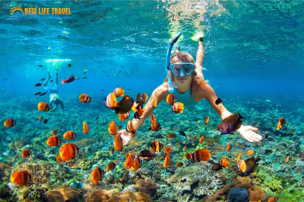 Du khách trải nghiệm dịch vụ lặn biển Nha Trang - Snorkeling (lặn ống thở)