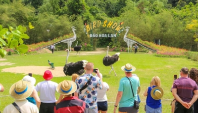 Du khách tham quan đảo Hoa Lan tại Vịnh Nha Phu