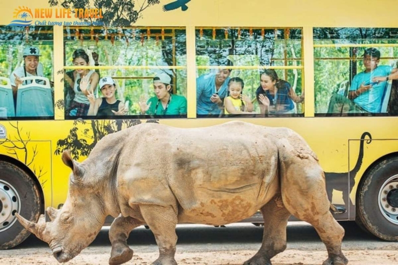 hinh-anh-3-vinpearl-safari