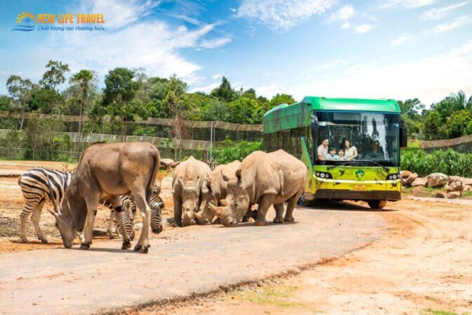 khu-hoang-da-vinpearl-safari