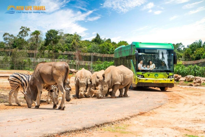 khu-hoang-da-vinpearl-safari
