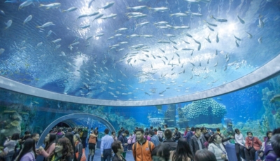 Viện hải dương học Nha Trang