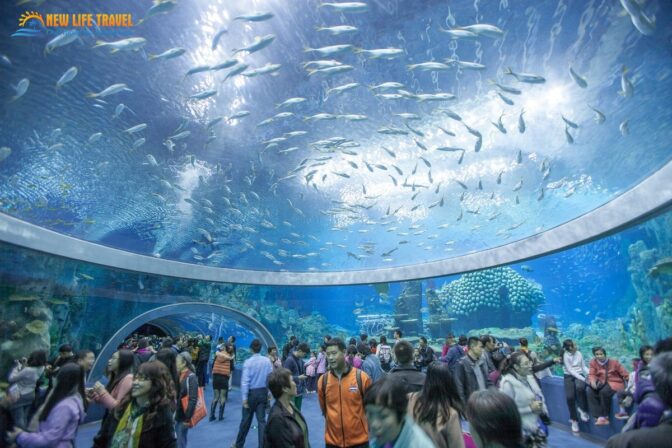 Viện hải dương học Nha Trang