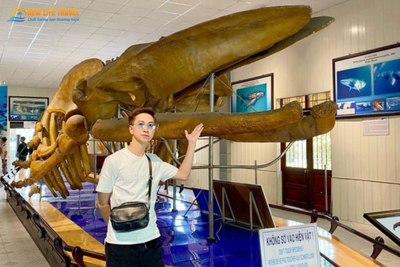 vien-hai-duong-hoc-nha-trang