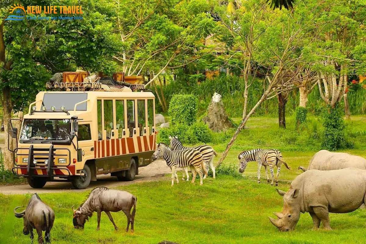 Hình ảnh yên bình tại sở thú Vinpearl Safari Phú Quốc 