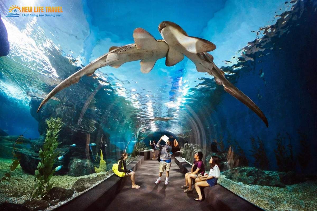 Đường hầm ở Thủy cung Underwater World Pattaya