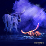 ve-xem-show-roi-mo-tai-nha-hat-do-nha-trang