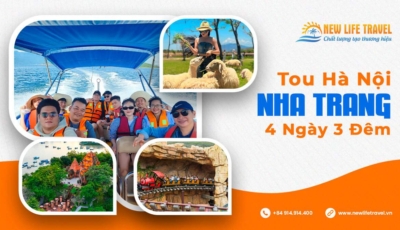 tour Ha Noi Di Nha Trang 4 Ngay 3 Dem