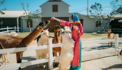 Nông Trại Cún Puppy Farm Đà Lạt