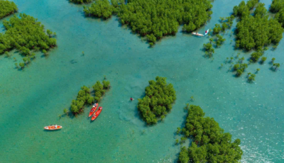 rung-duoc-greenoasis-dam-bay-nha-trang