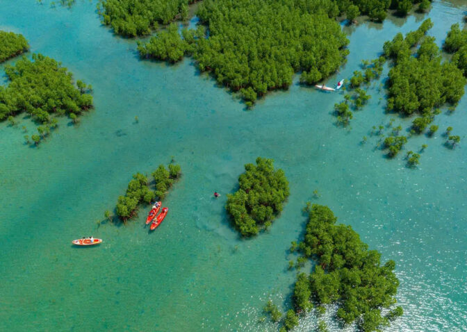 rung-duoc-greenoasis-dam-bay-nha-trang