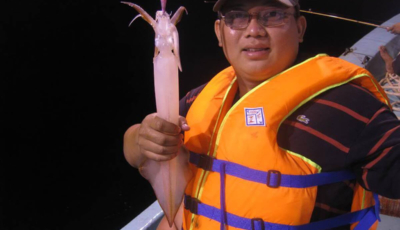 cau-muc-dem-nha-trang-3