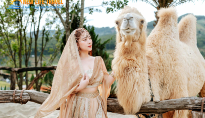 check-in-mongo-land-da-lat