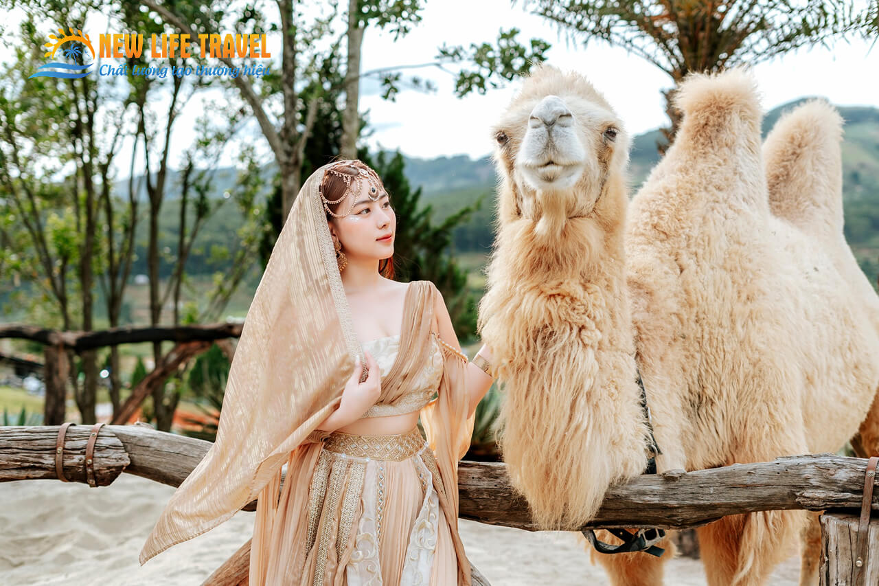 Du khách chụp ảnh check in tại Mongo Land Đà Lạt Du khách chụp ảnh check in tại Mongo Land Đà Lạt