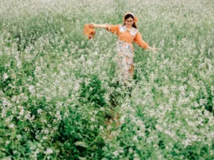 du-lich-da-lat-thang-12-Mua-hoa-cai-trang