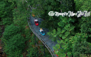 Cao Nguyên Hoa Đà Lạt