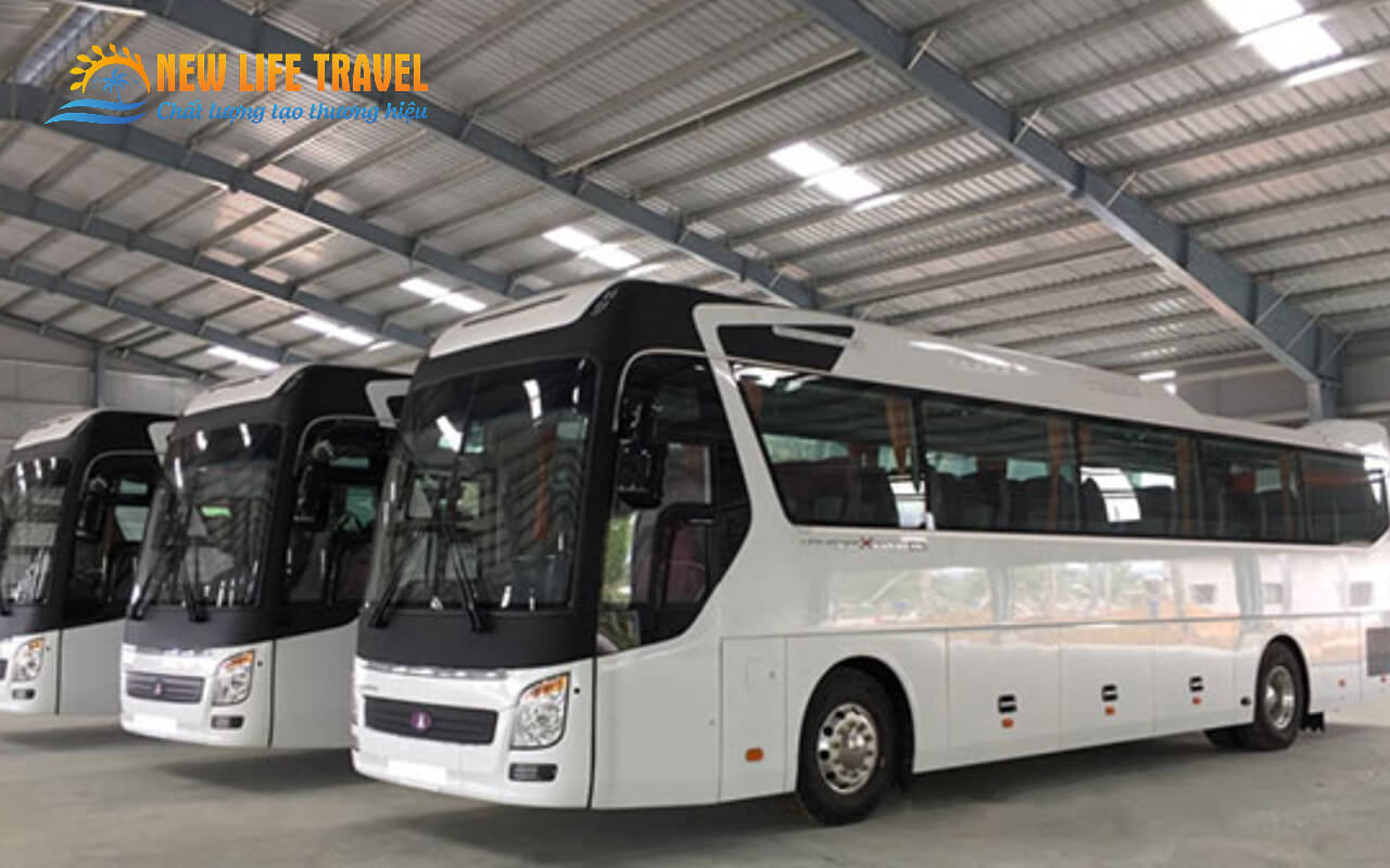 New Life Travel – Nha Trang Travel Company Offering Car Rental Services