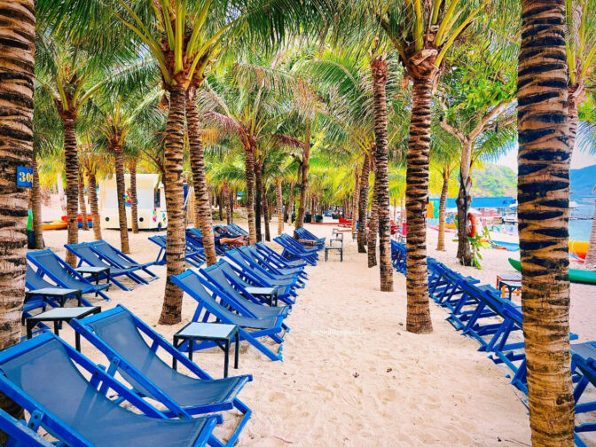 bai-soi-nha-trang