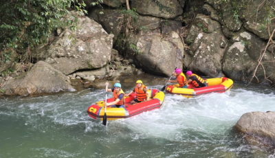 khu-du-lich-kong-forest