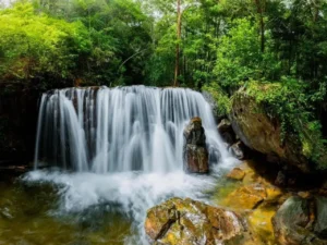 Thời điểm đẹp nhất để đi du lịch Suối Tranh là từ tháng 6 đến tháng 11