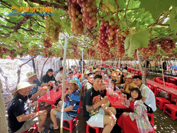 vuon-nho-tour-vinh-hy-2-ngay-1-dem
