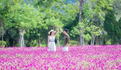 doi-hoa-tien-yang-bay-nha-trang